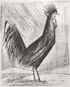 Le Coq