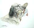 49 Setter et Perdrix -  English Setter and Partridge