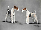 79 Deux Fox-Terriers - Two Fox-Terriers