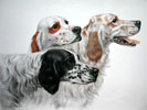 52 Trois Setters - Three English Setters (Original)