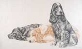 39 Cockers au repos - Three Cocker Spaniels resting (Original)