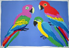 "Perroquets - Parrots"