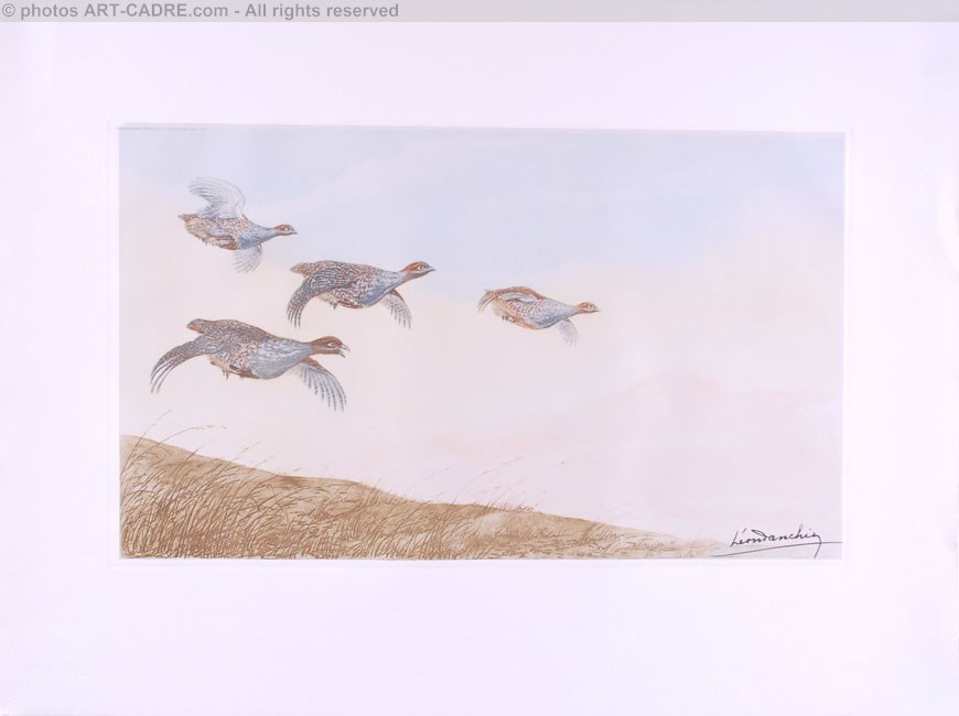 19 Vol de Perdreaux - Partridges flying Click to ZOOM