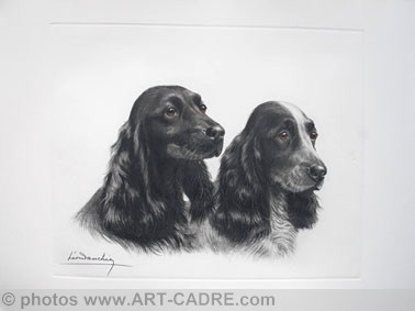 24 deux ttes de Cockers noirs - Two black Cocker Spaniel heads Click to ZOOM