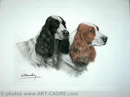 29 Deux ttes de Cockers noir et feu - Two Cocker Spaniels heads (black and tan) Click to ZOOM