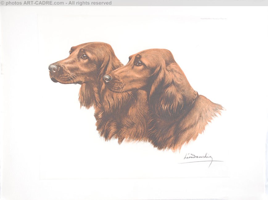 46 Deux ttes de Setters Irlandais - Two irish Setters heads Clickez pour zoomer