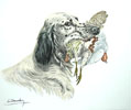 49 Setter et Perdrix -  English Setter and Partridge Click to ZOOM