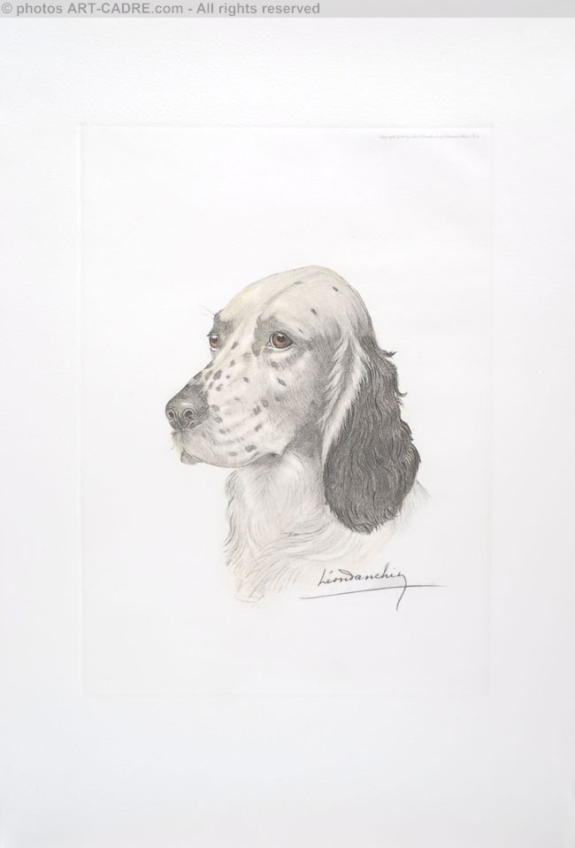 50 Tte de Setter Laverack - English Setter head Click to ZOOM