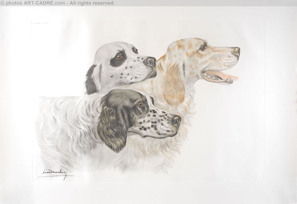 52 Trois Setters - Three English Setters Clickez pour zoomer