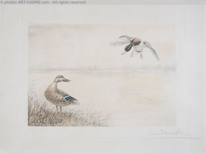 05 Canards se posant - Two Ducks landing (Original) Click to ZOOM