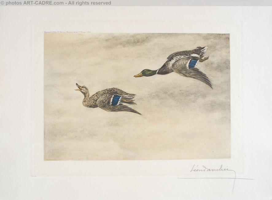 06 Canards de passage - Two passing Ducks (Original) Click to ZOOM