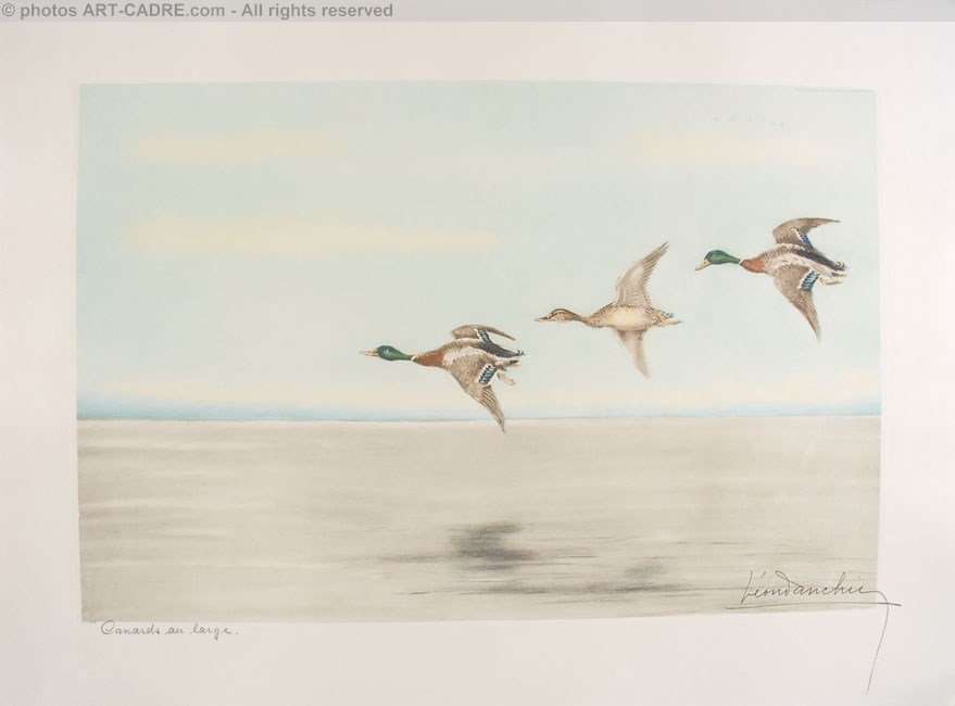 12 Canards au large - Three Ducks flying (Original) Click to ZOOM