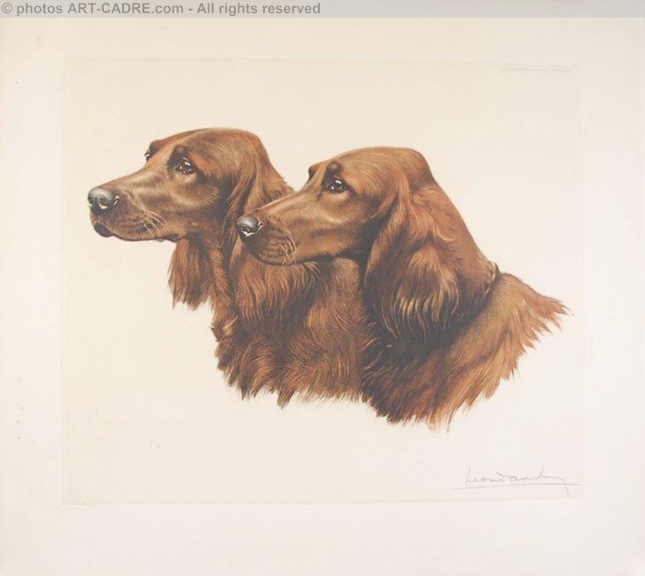 46 Deux ttes de Setters Irlandais - Two irish Setters heads (Original) Clickez pour zoomer