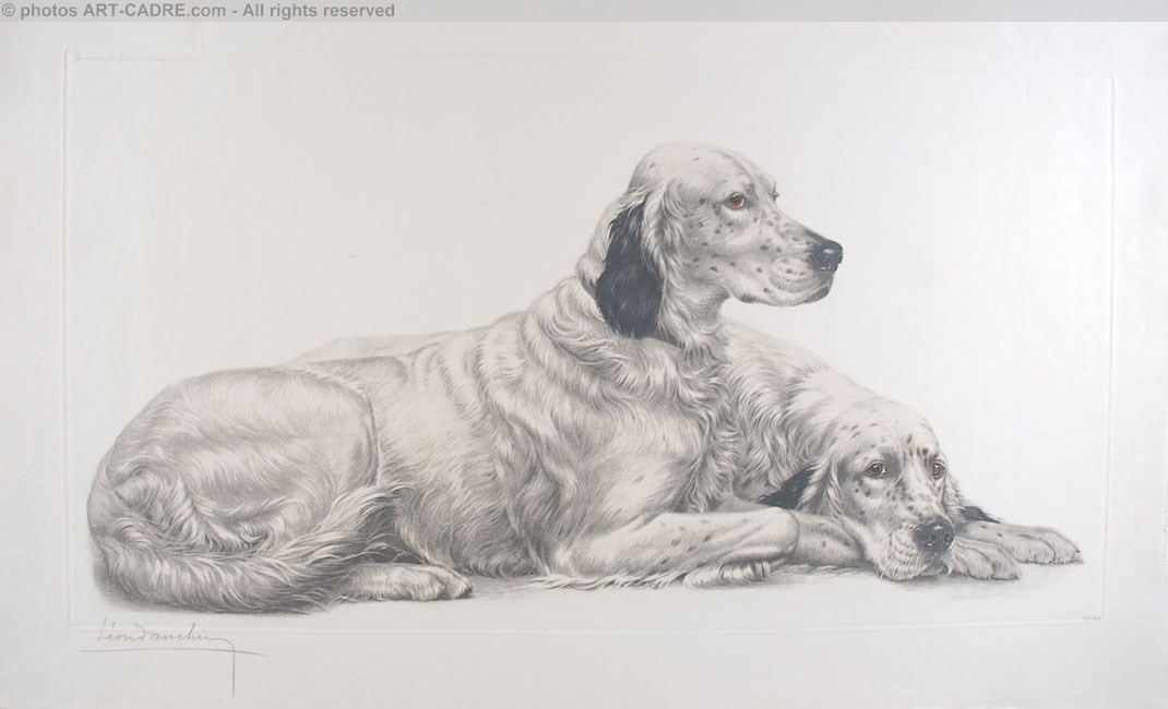 57 Deux Setters couchs (Setters au repos) - Two English Setters at rest (Original) Clickez pour zoomer