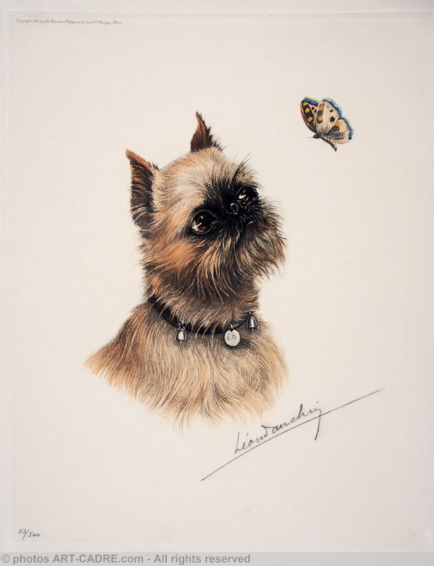 85 Griffon Bruxellois et papillon - Brussel Griffon and butterfly (Original) Click to ZOOM