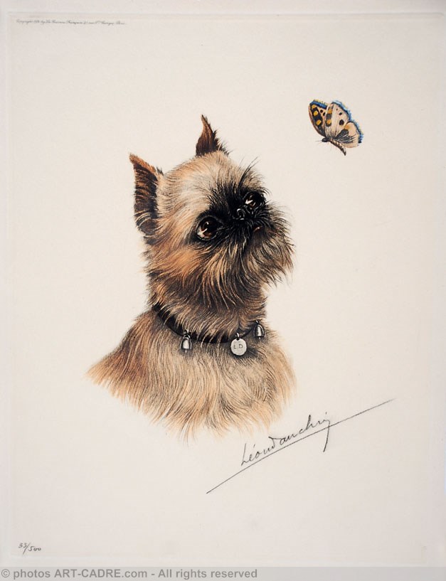 85 Griffon Bruxellois et papillon - Brussel Griffon and butterfly (Original) Clickez pour zoomer