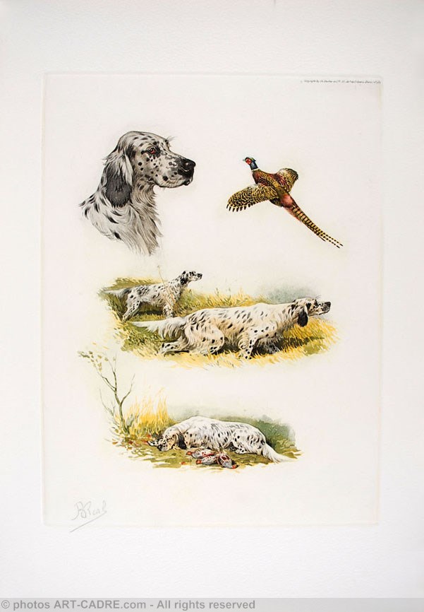 05 - Etude de Setters anglais "Laverack" - English Setters study Click to ZOOM