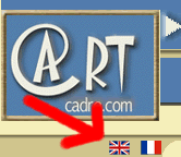 Pick a Language / Choisissez un Language